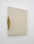http://www.galeria-sabot.ro/files/gimgs/th-41_fracas mostra foto el16.jpg